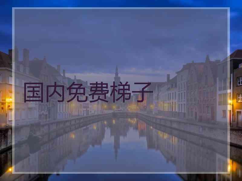 国内免费梯子