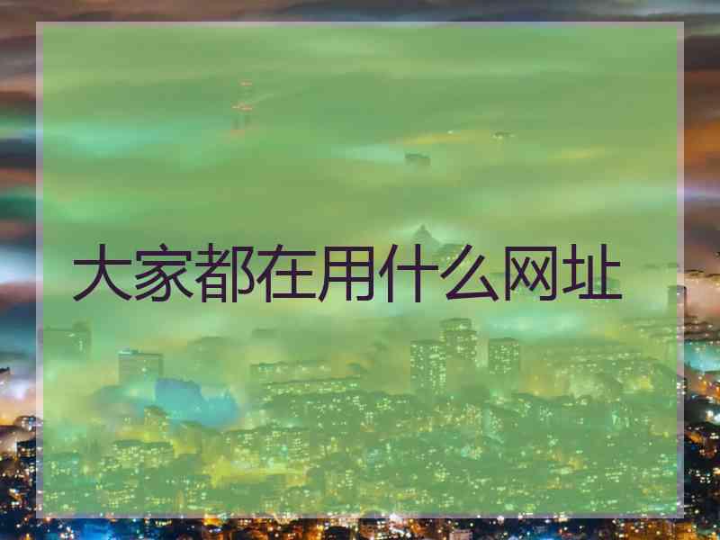 大家都在用什么网址
