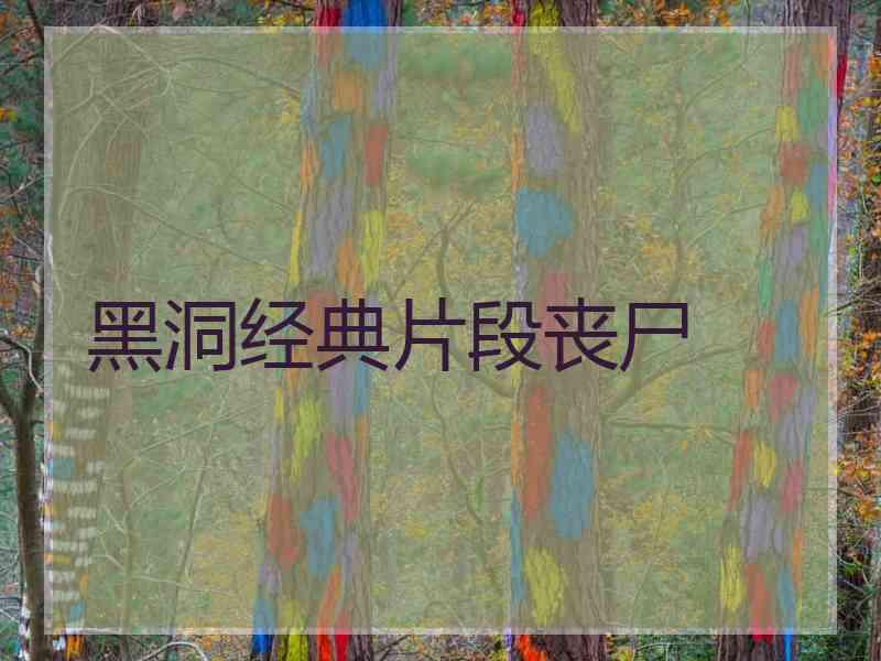 黑洞经典片段丧尸