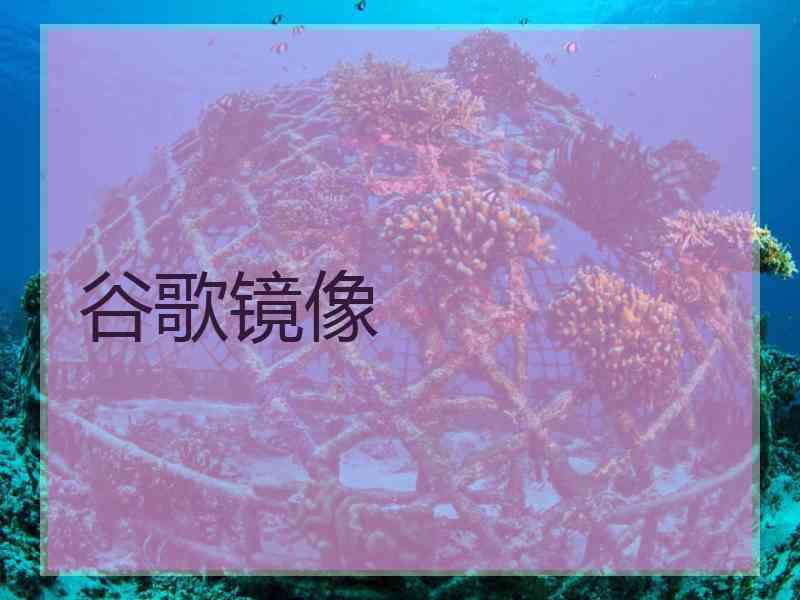 谷歌镜像