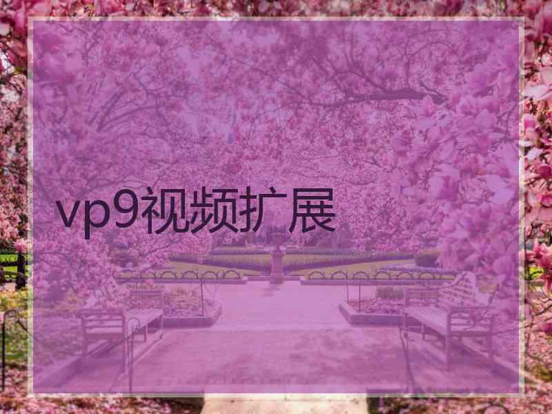 vp9视频扩展