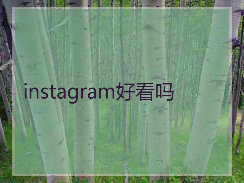 instagram好看吗