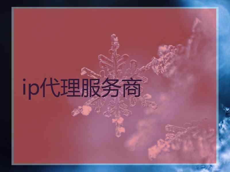 ip代理服务商