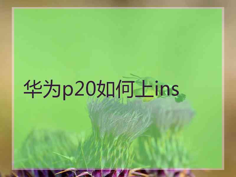 华为p20如何上ins