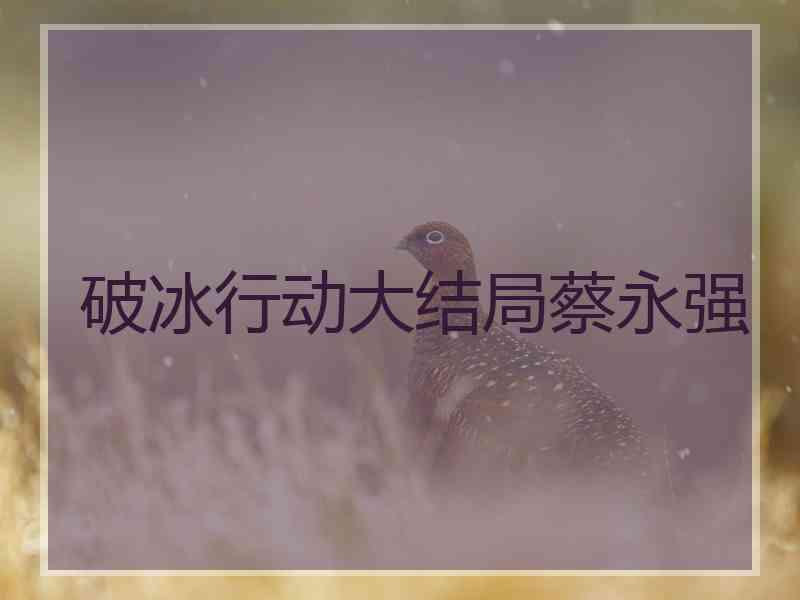 破冰行动大结局蔡永强