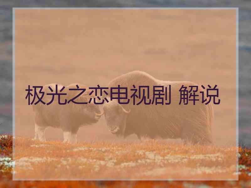 极光之恋电视剧 解说