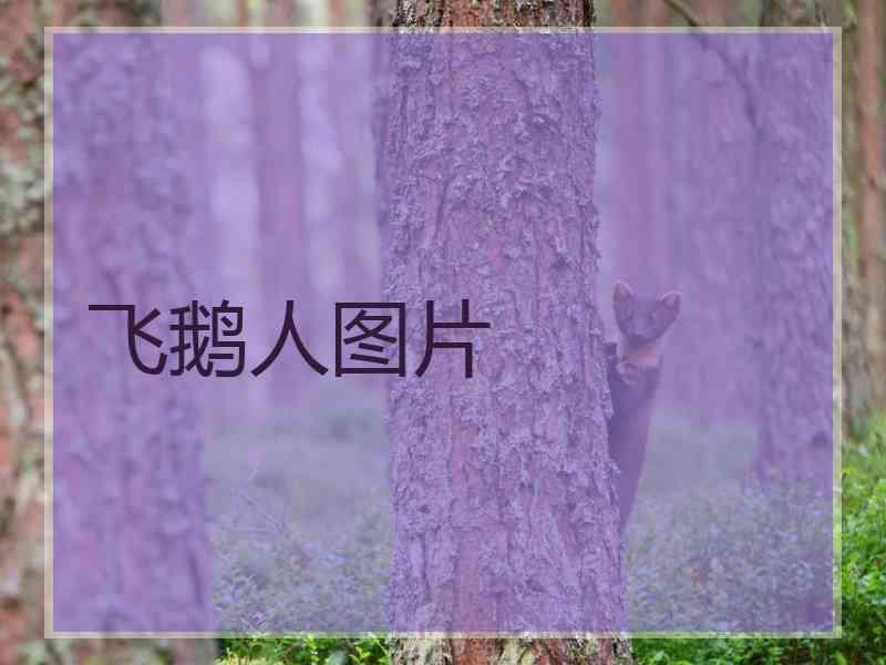 飞鹅人图片