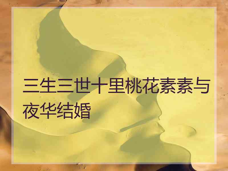 三生三世十里桃花素素与夜华结婚