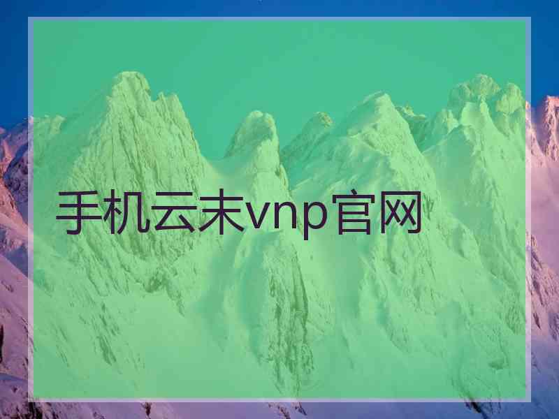 手机云末vnp官网