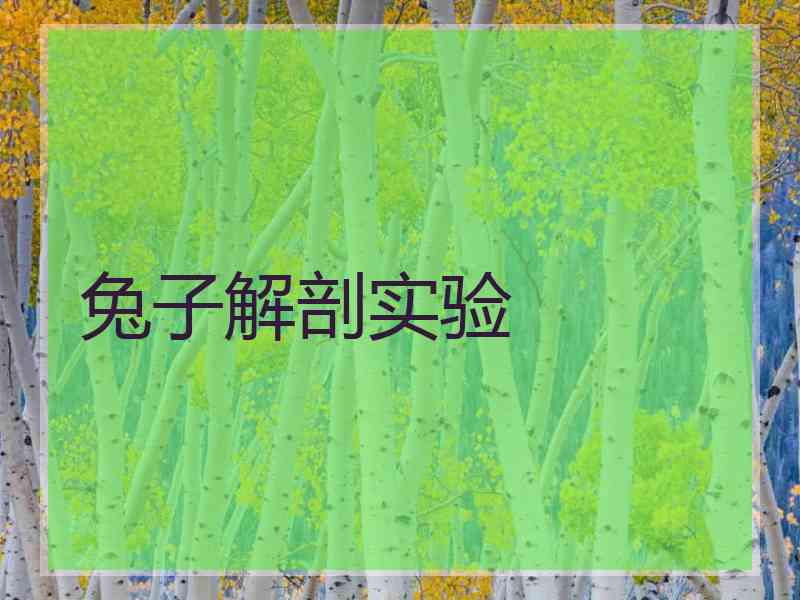 兔子解剖实验