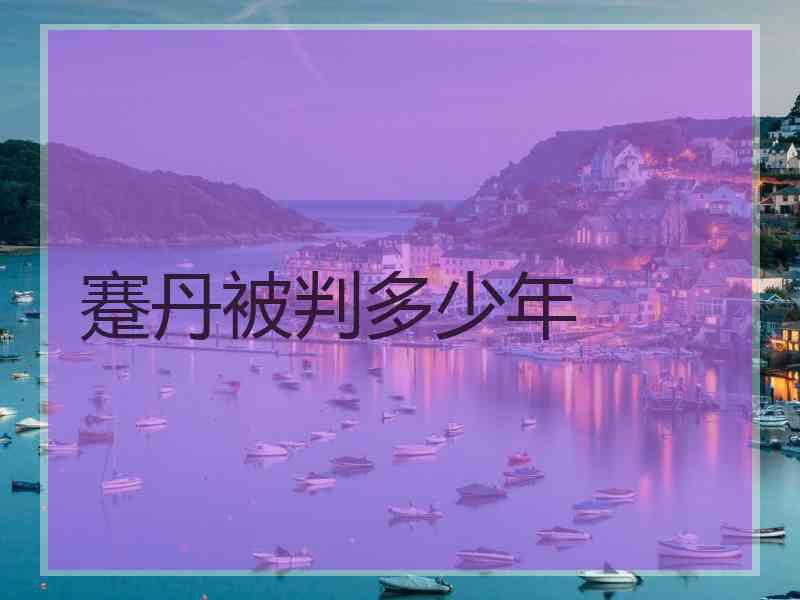 蹇丹被判多少年