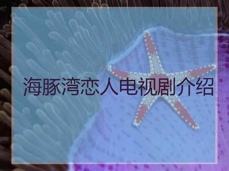 海豚湾恋人电视剧介绍