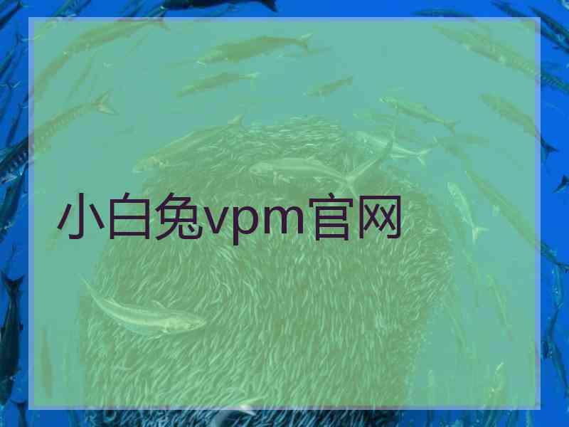 小白兔vpm官网
