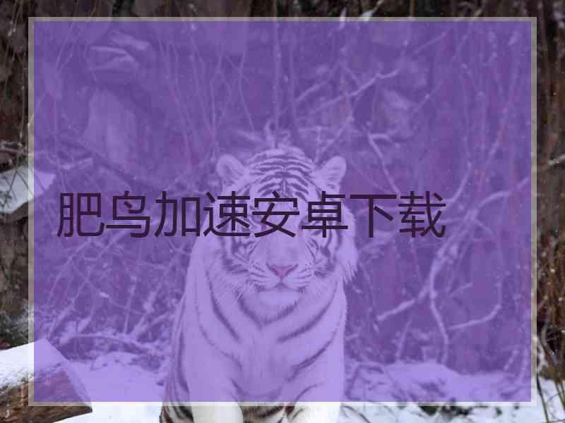 肥鸟加速安卓下载
