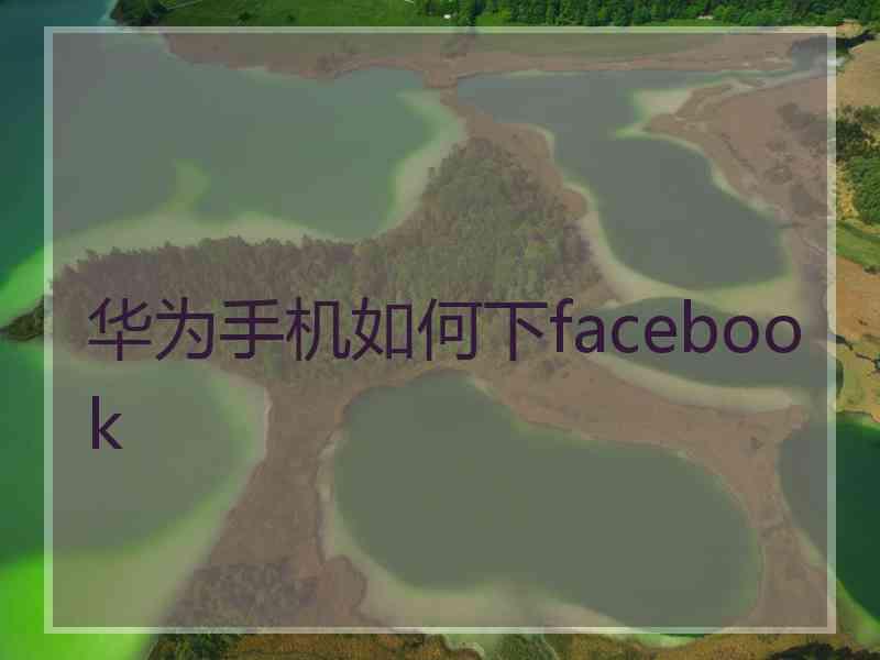 华为手机如何下facebook