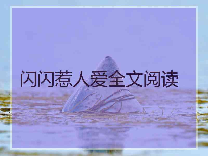 闪闪惹人爱全文阅读