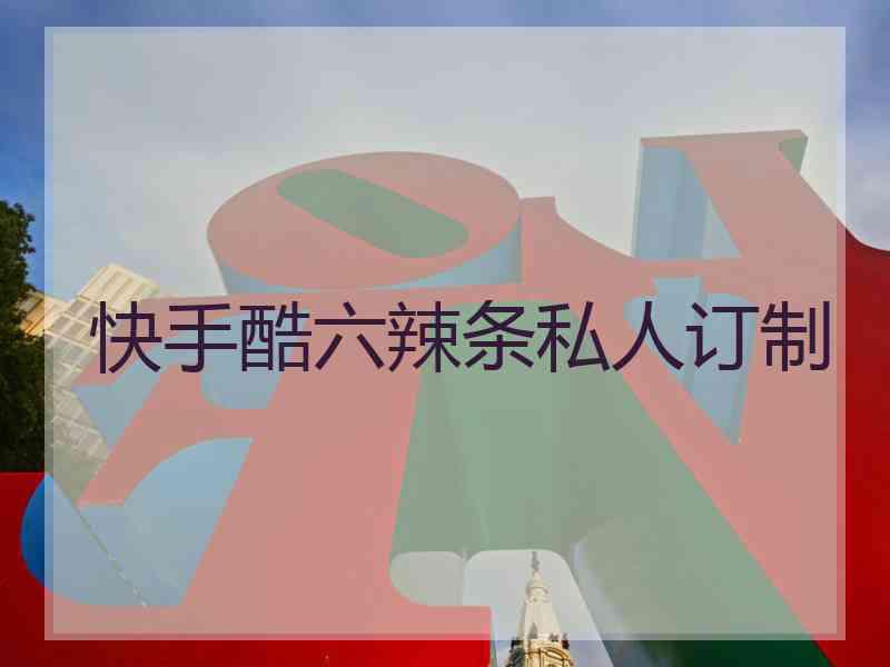 快手酷六辣条私人订制
