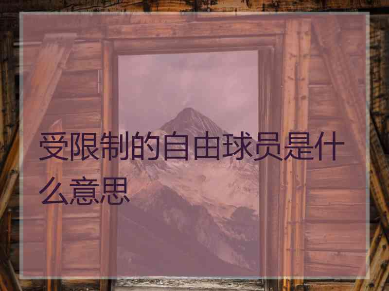 受限制的自由球员是什么意思