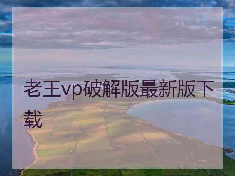 老王vp破解版最新版下载