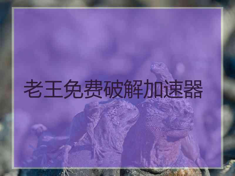 老王免费破解加速器