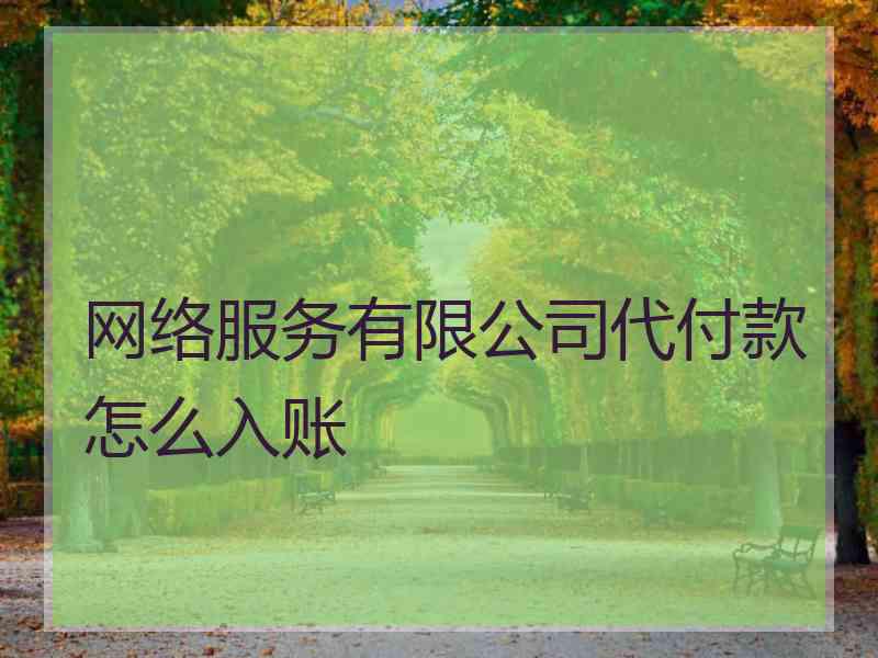 网络服务有限公司代付款怎么入账
