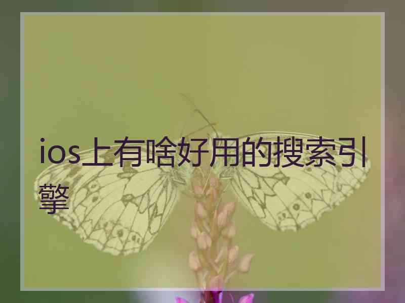 ios上有啥好用的搜索引擎