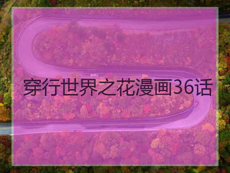 穿行世界之花漫画36话