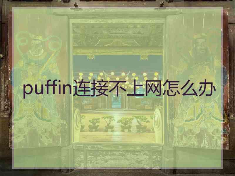 puffin连接不上网怎么办