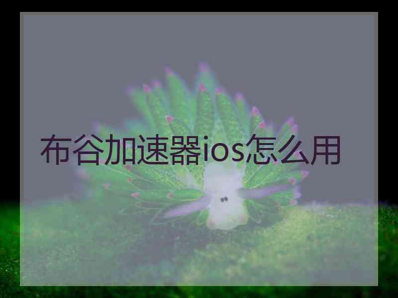 布谷加速器ios怎么用