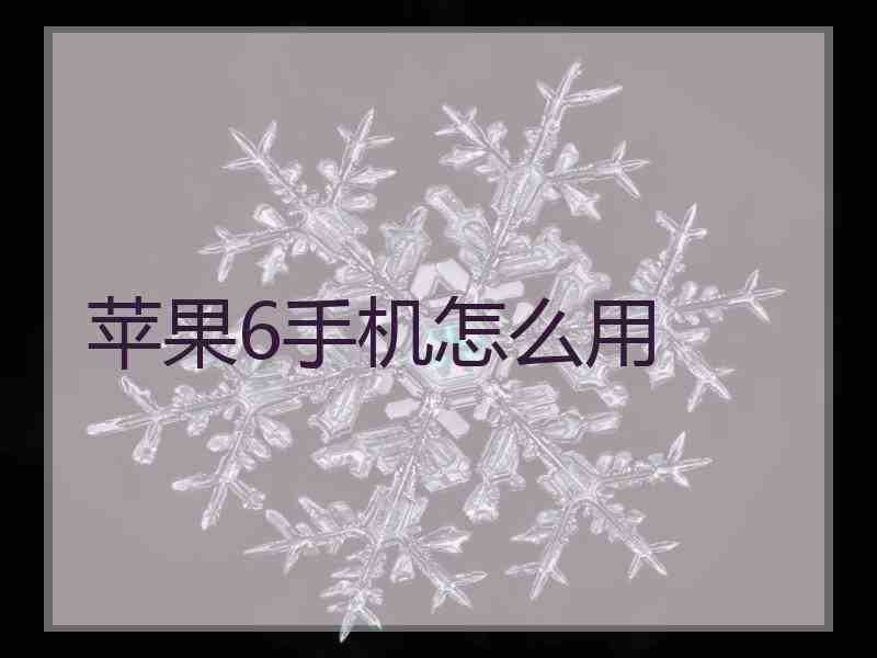 苹果6手机怎么用