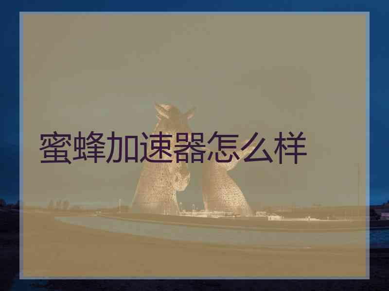 蜜蜂加速器怎么样