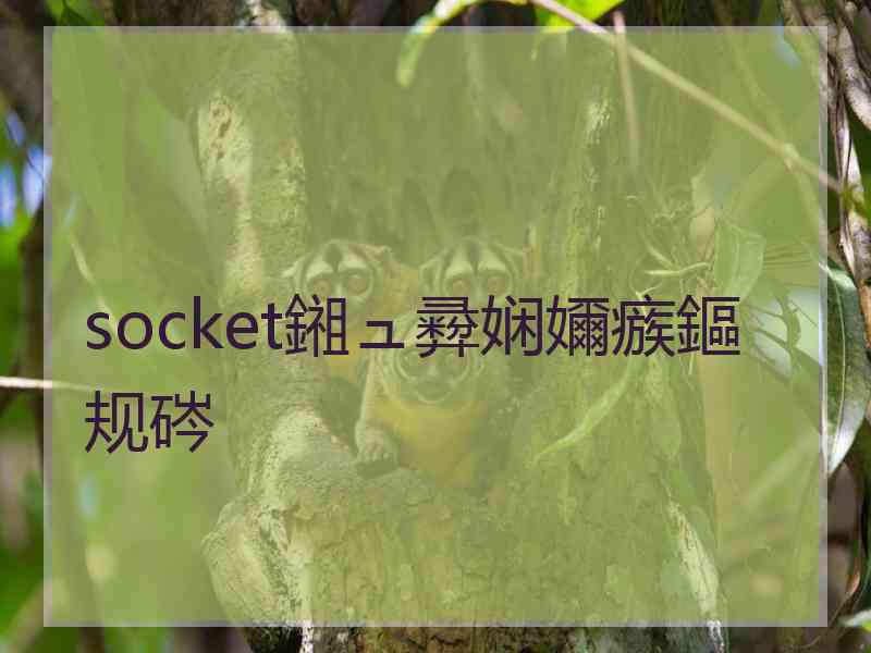 socket鎺ュ彛娴嬭瘯鏂规硶