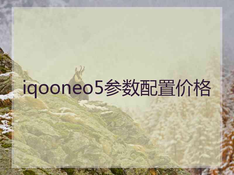 iqooneo5参数配置价格