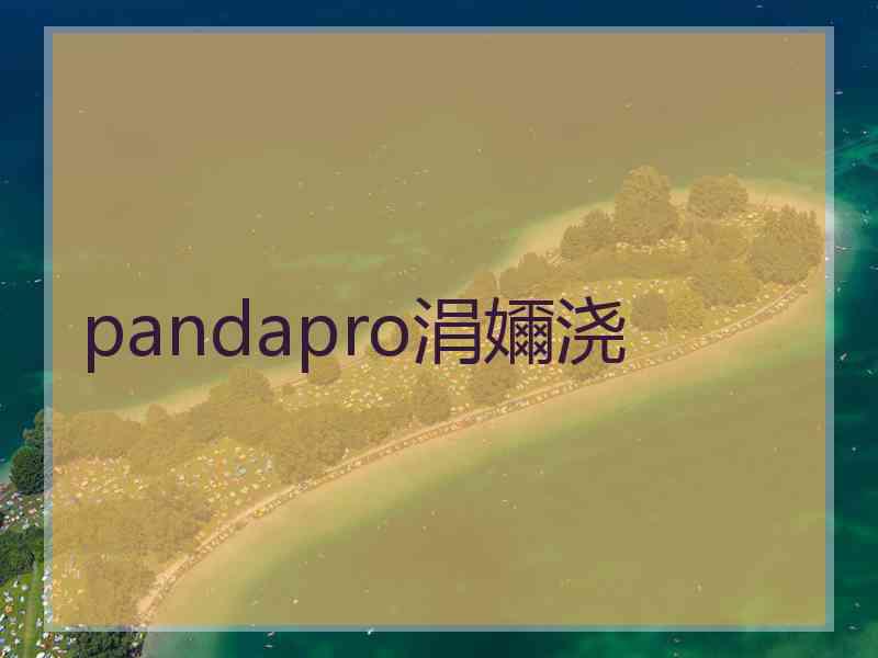 pandapro涓嬭浇