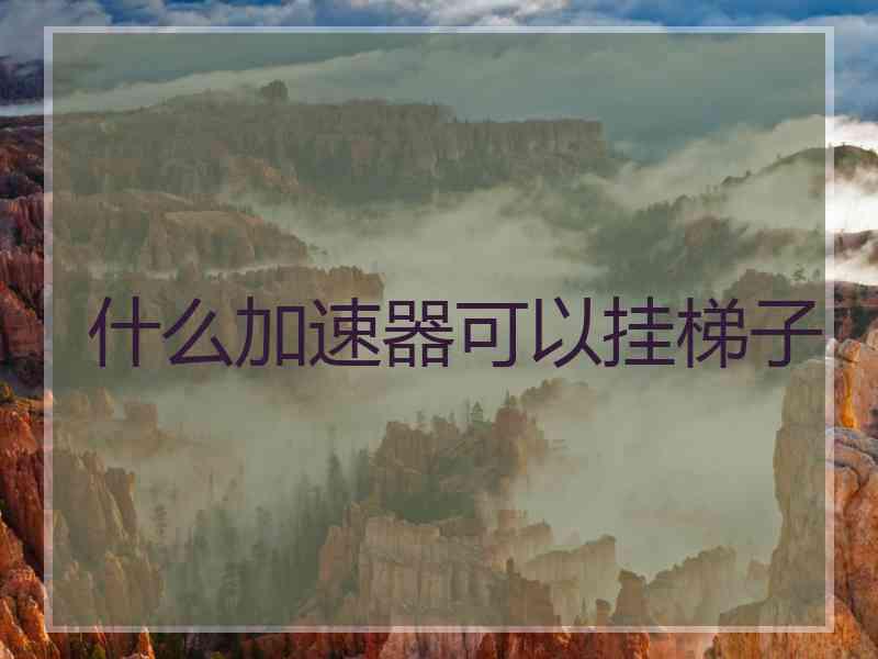 什么加速器可以挂梯子