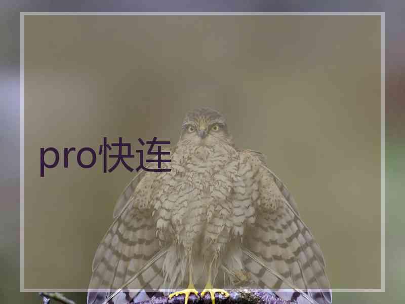 pro快连