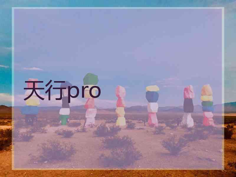 天行pro