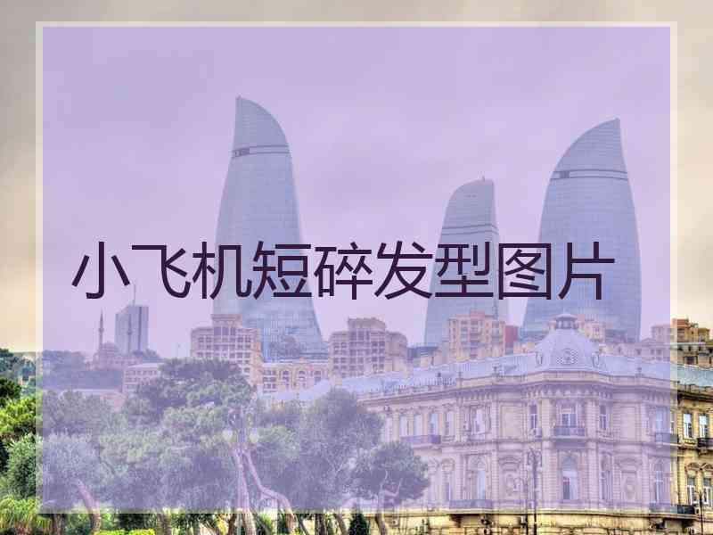 小飞机短碎发型图片