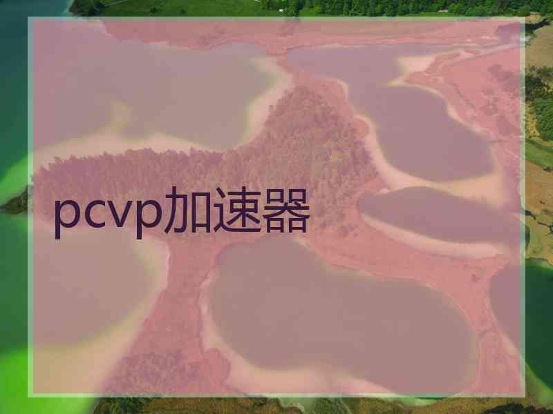 pcvp加速器