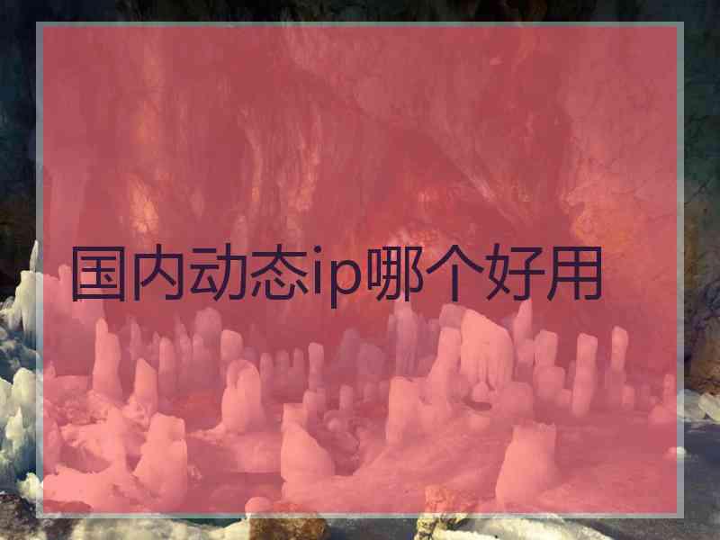 国内动态ip哪个好用