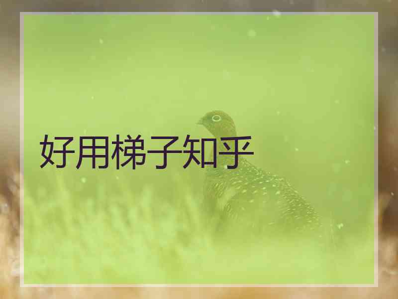 好用梯子知乎