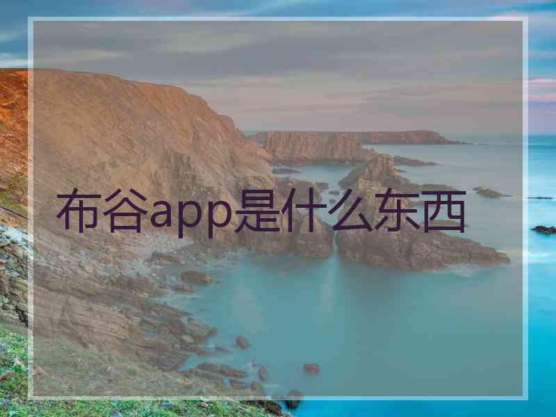 布谷app是什么东西