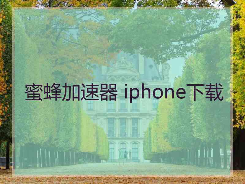 蜜蜂加速器 iphone下载