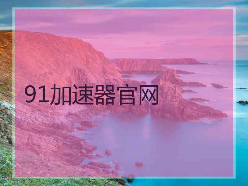 91加速器官网
