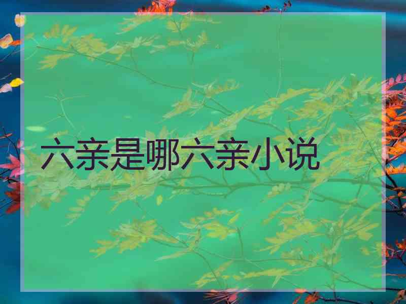 六亲是哪六亲小说