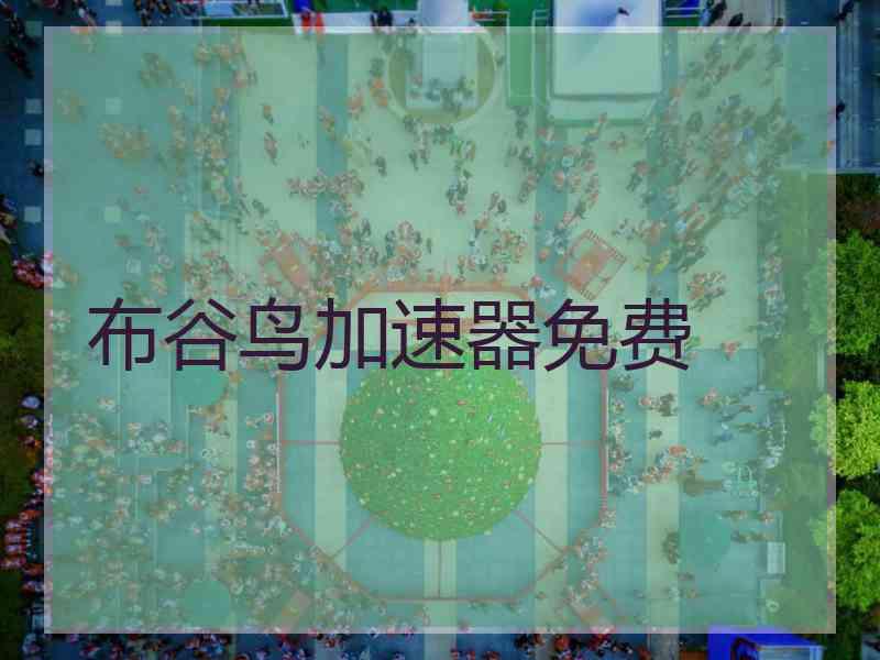 布谷鸟加速器免费