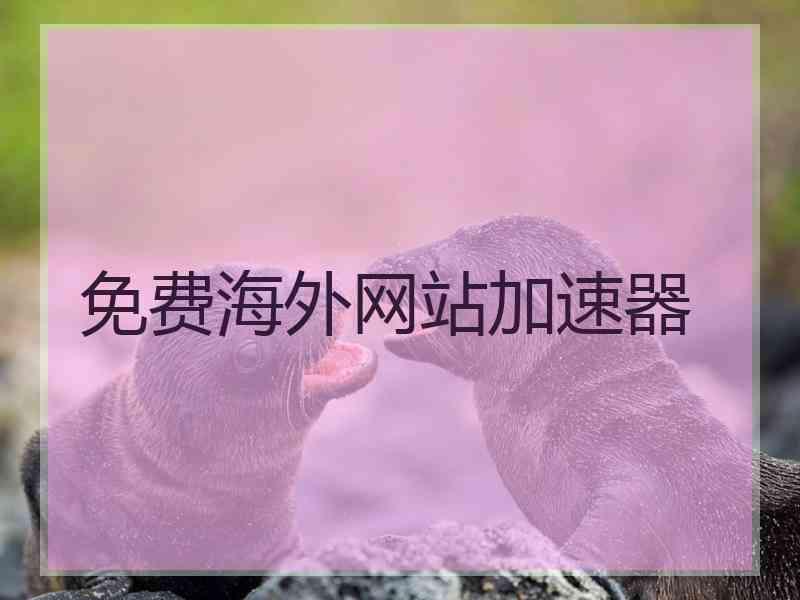 免费海外网站加速器