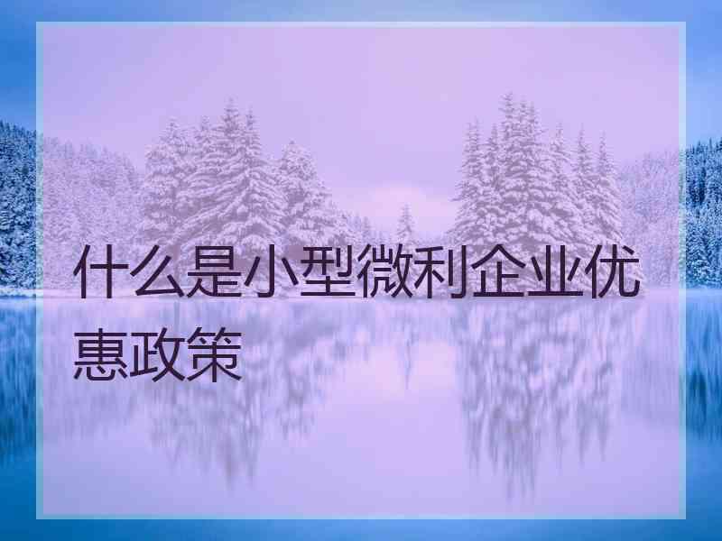 什么是小型微利企业优惠政策