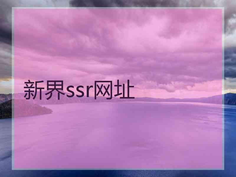 新界ssr网址