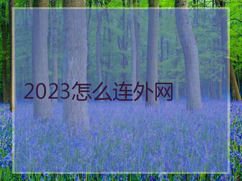 2023怎么连外网